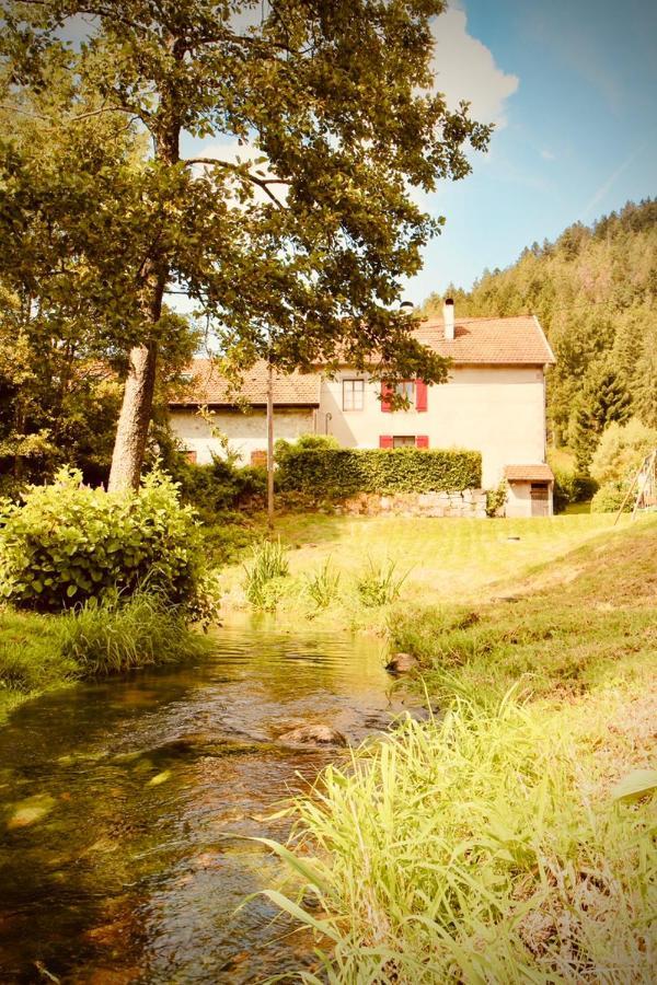 Gite De Charme Jusqu'A 14 Personnes, Proche Du Lac De جوراردُميه المظهر الخارجي الصورة